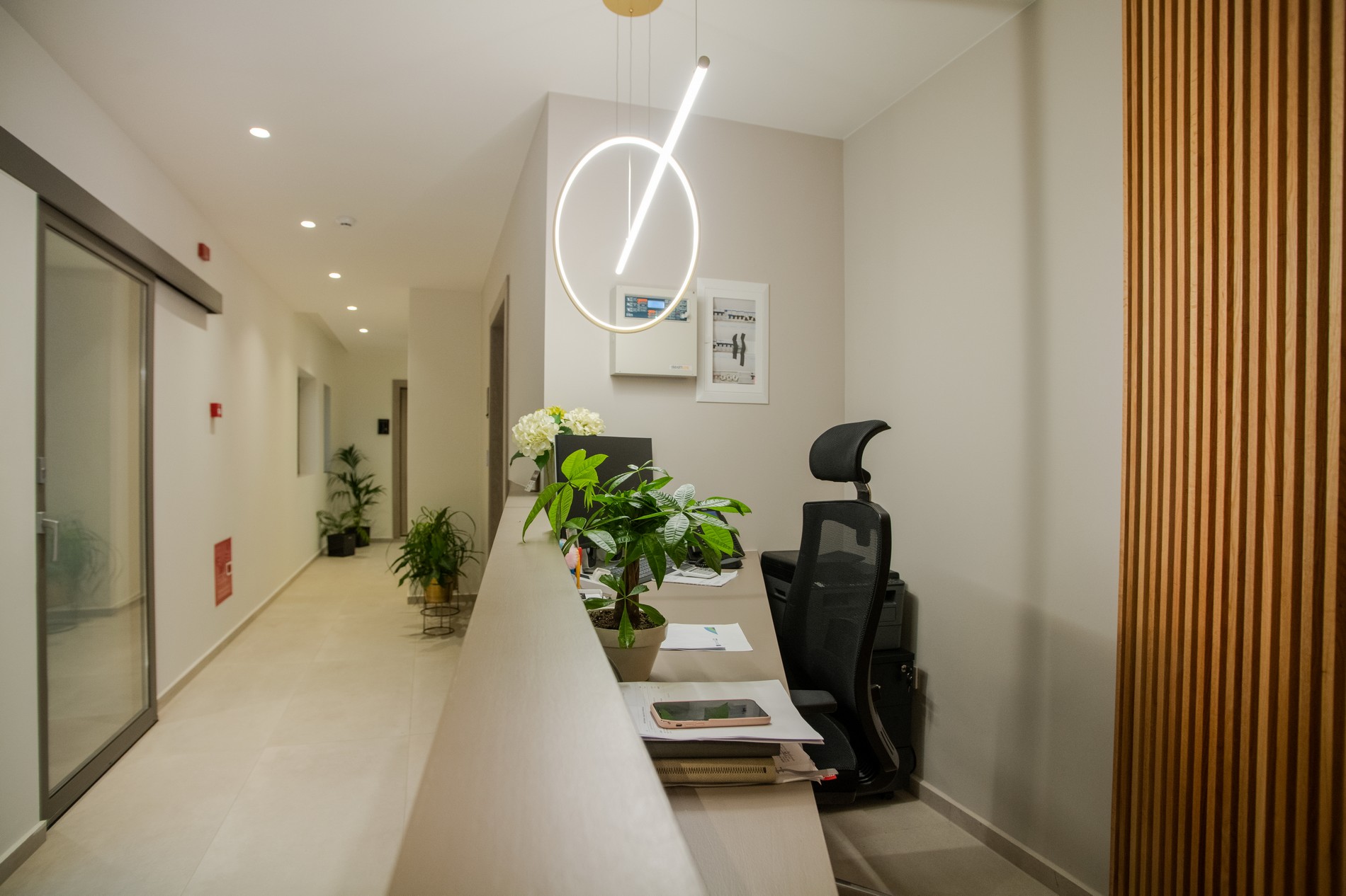 Celine Suite 2
